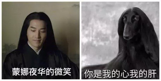 欧博abg - 官方网址登录入口