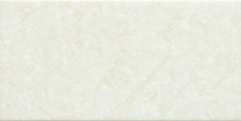 2E60722(300x600mm)