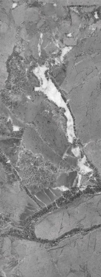 欧博abg - 官方网址登录入口