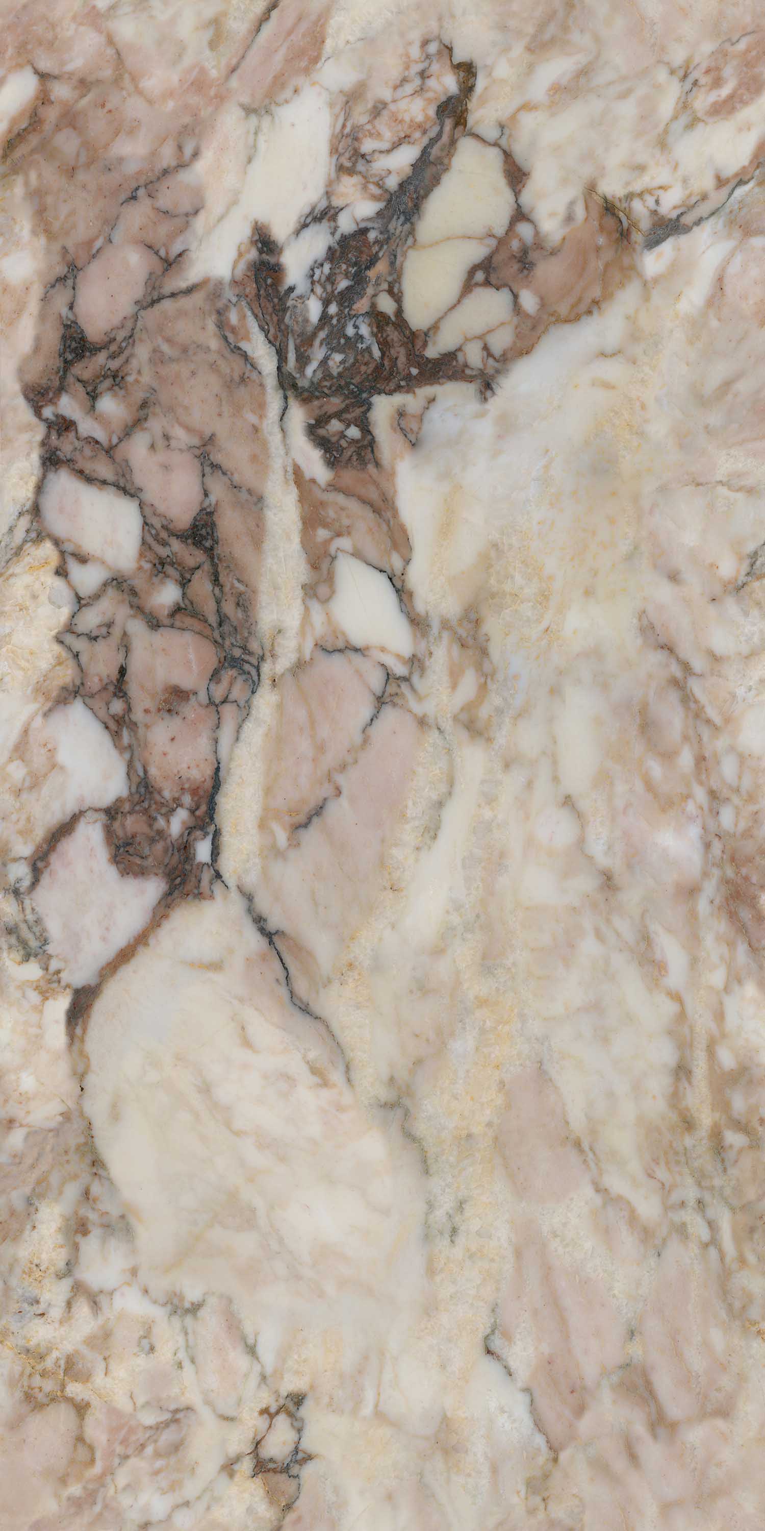 欧博abg - 官方网址登录入口